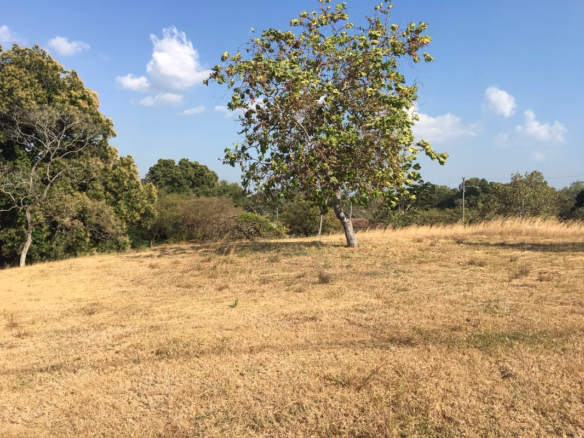 Imagen 1 de Lote en venta en Las Lajas, Chame