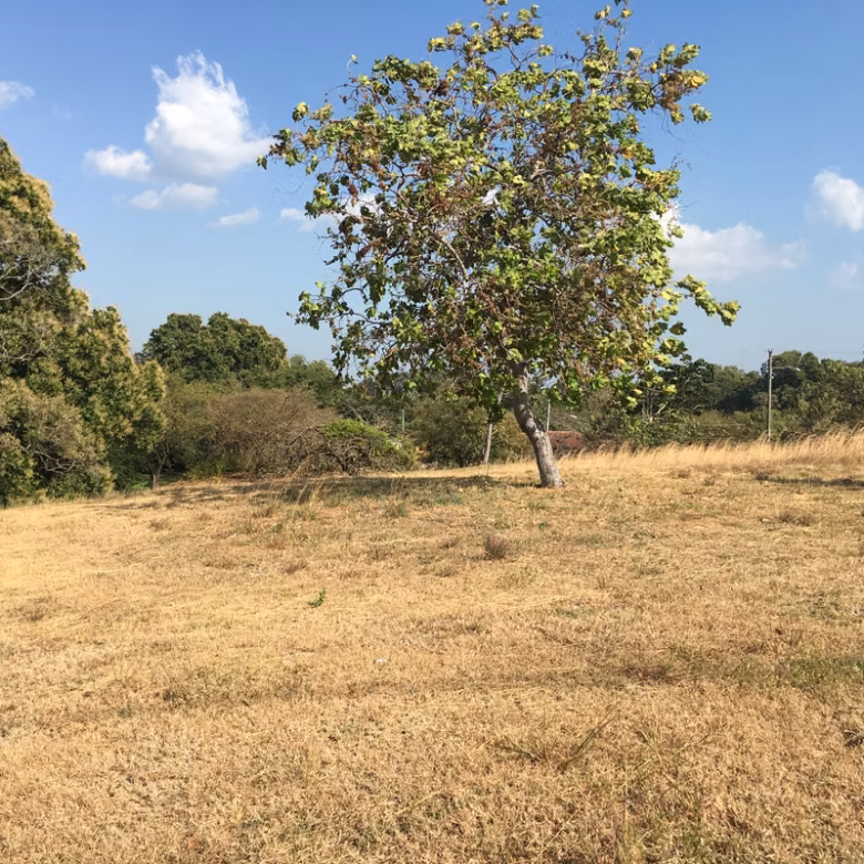 Imagen 1 de Lote en venta en Las Lajas, Chame