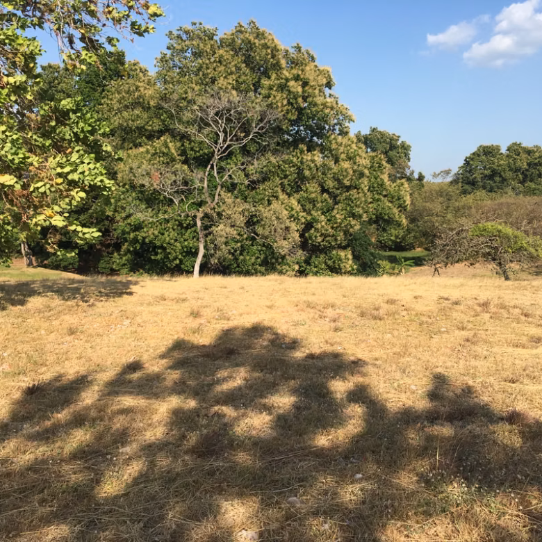Imagen 2 de Lote en venta en Las Lajas, Chame