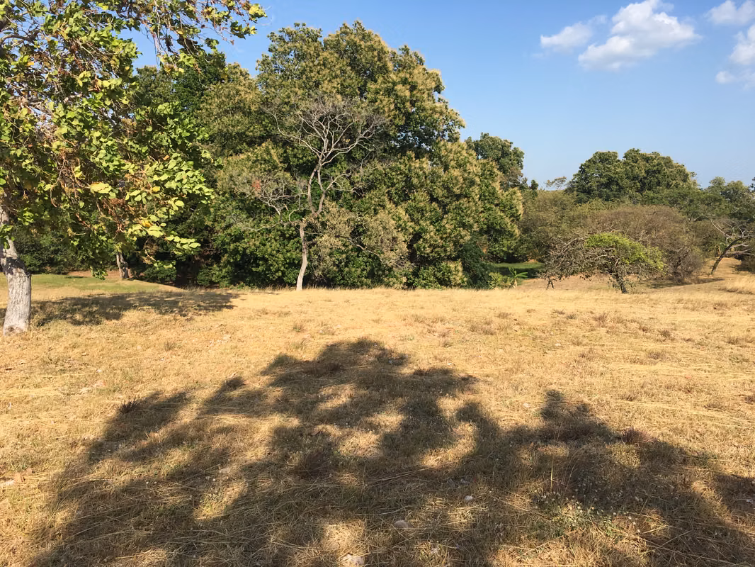 Imagen 2 de Lote en venta en Las Lajas, Chame