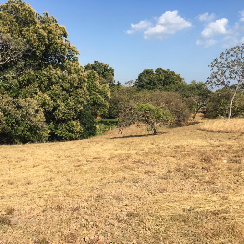 Imagen 3 de Lote en venta en Las Lajas, Chame