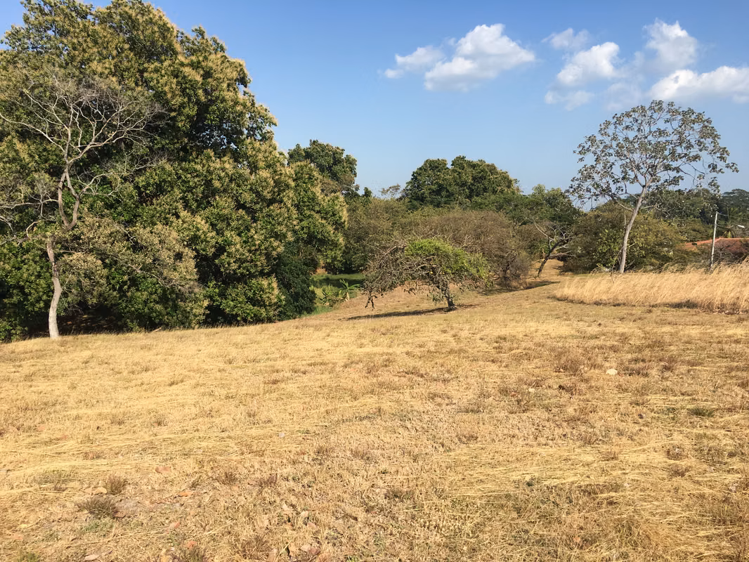 Imagen 3 de Lote en venta en Las Lajas, Chame