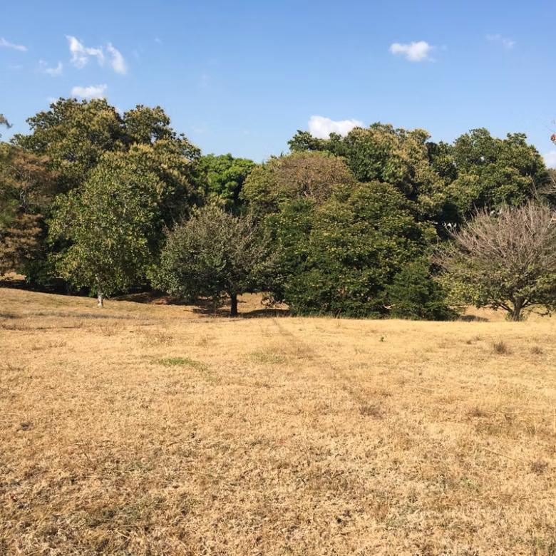 Imagen 5 de Lote en venta en Las Lajas, Chame