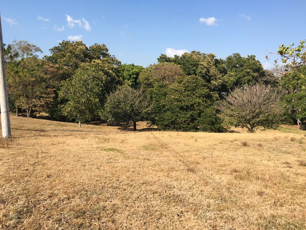 Imagen 5 de Lote en venta en Las Lajas, Chame